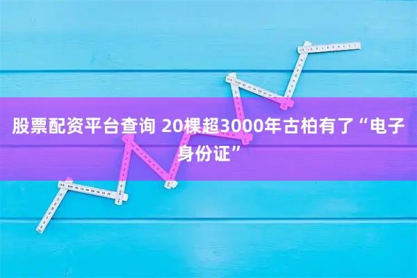 股票配资平台查询 20棵超3000年古柏有了“电子身份证”